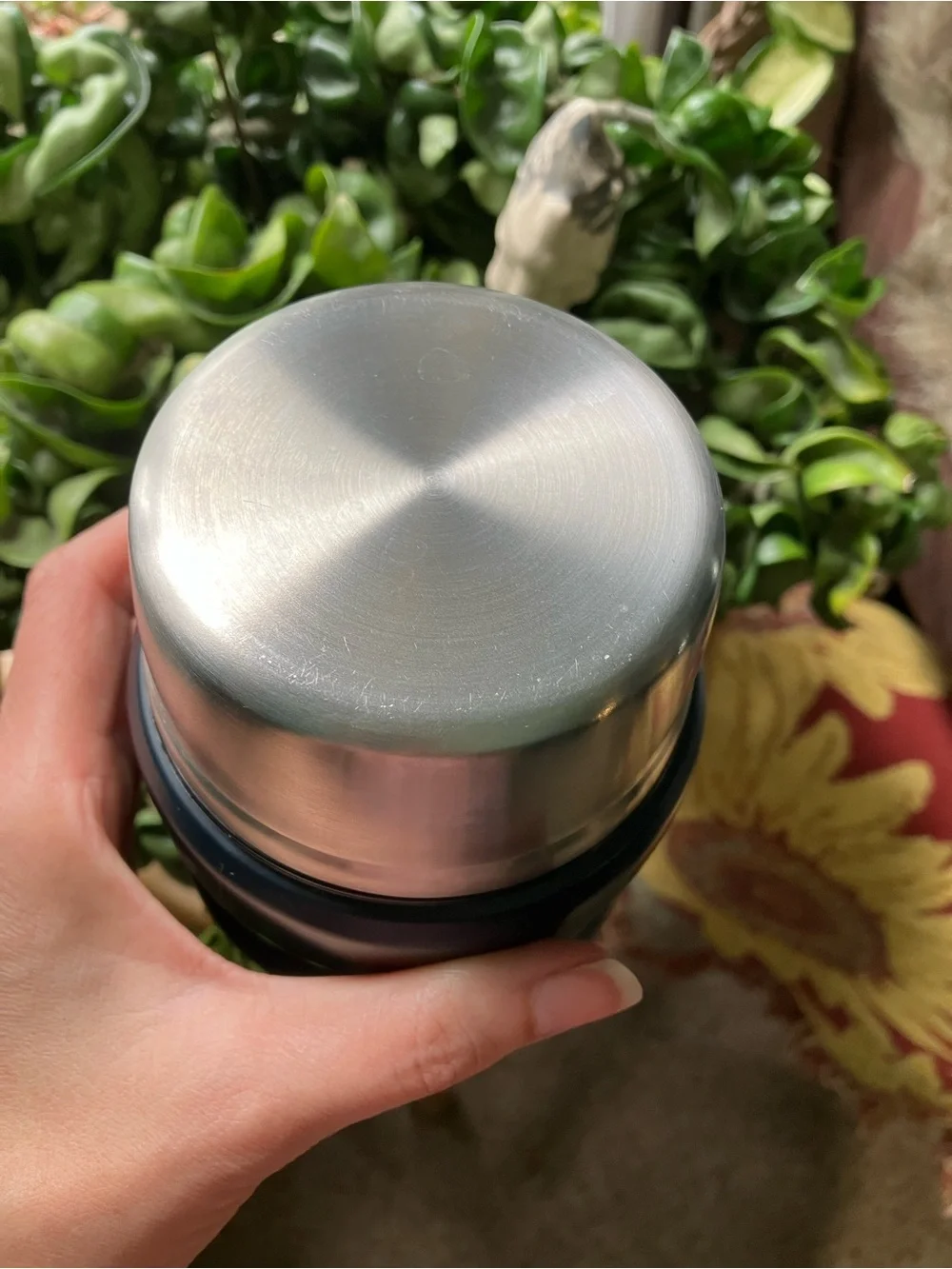 16 oz. Thermos Insulated Food Jar with Spoon - Matte Black